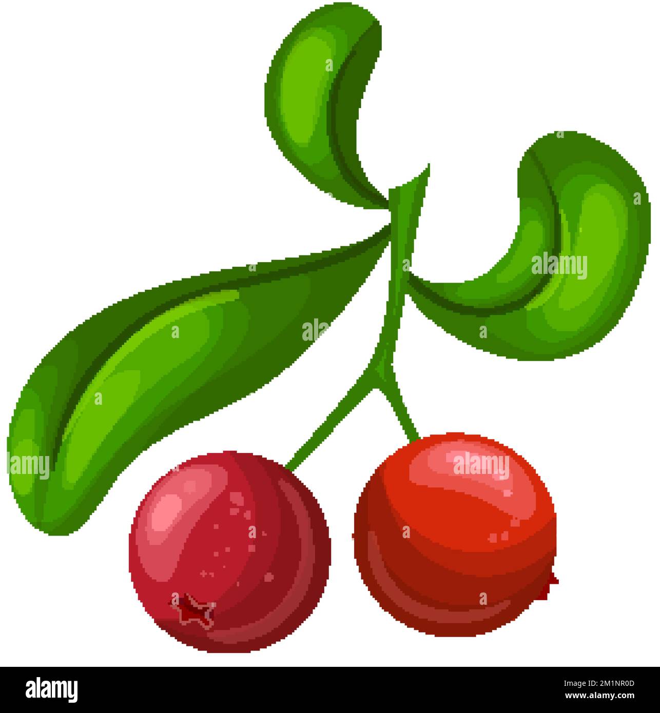 illustration vectorielle de dessin animé de canneberge Illustration de Vecteur