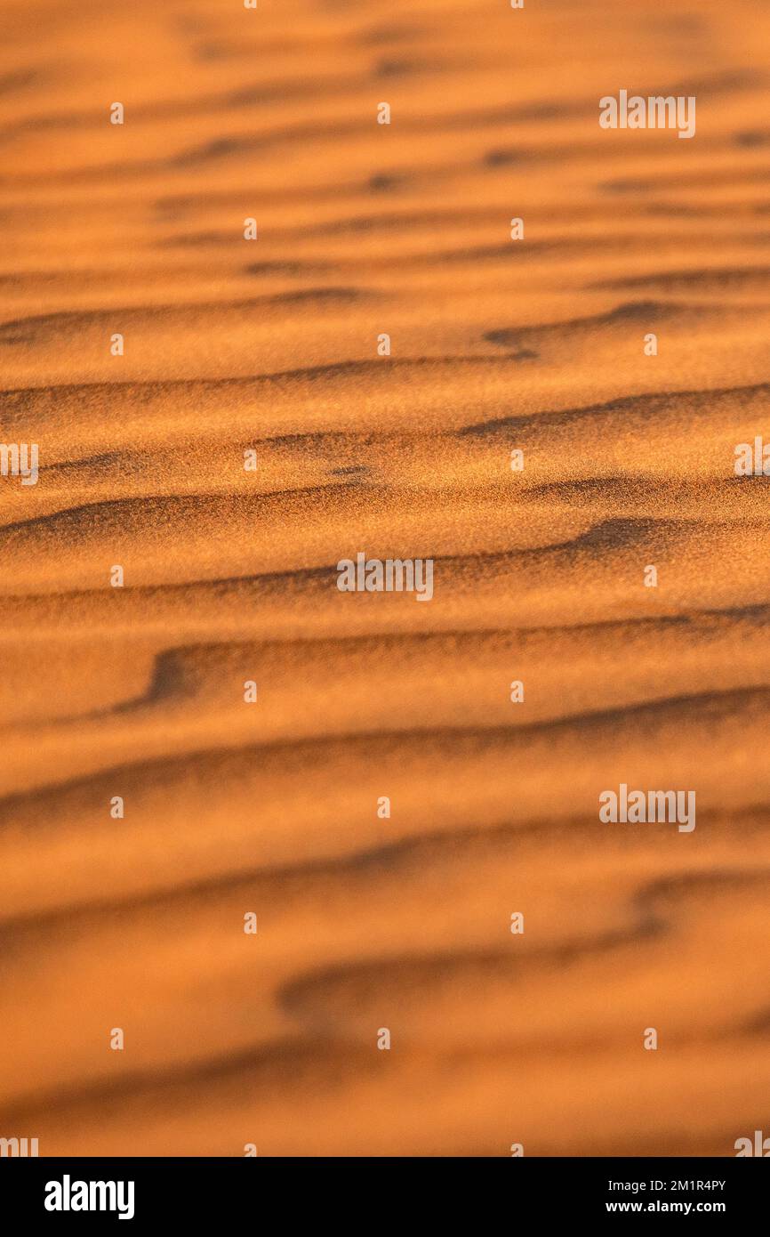 Les ondulations de sable se sont montrées au meilleur de leur forme par un soleil peu ensoleillé. Banque D'Images