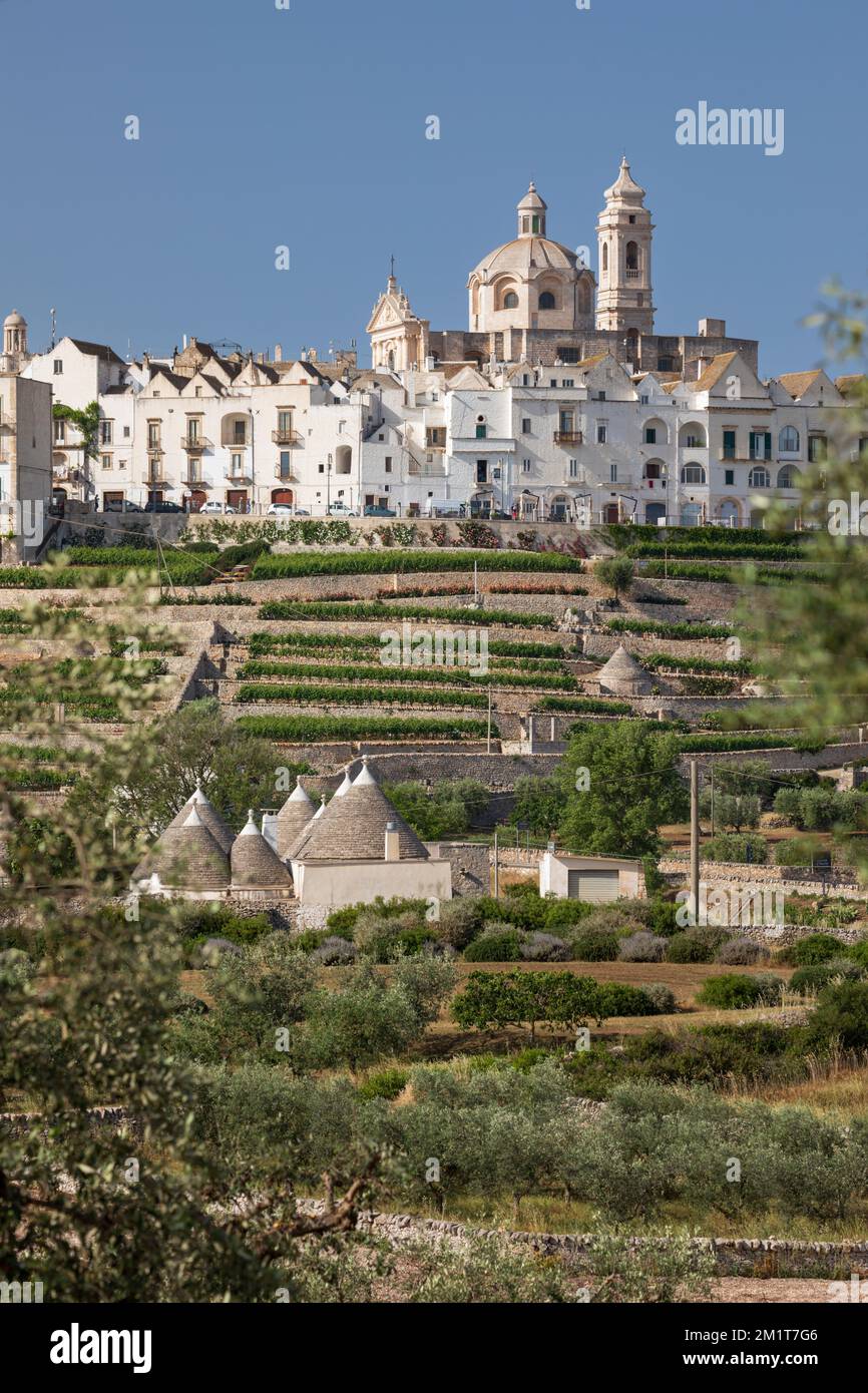Ville de Locorotondo au sommet d'une colline avec des maisons de trulles et une oliveraie en bas dans la Valle d'Itria, Locorotondo, Puglia, Italie, Europe Banque D'Images