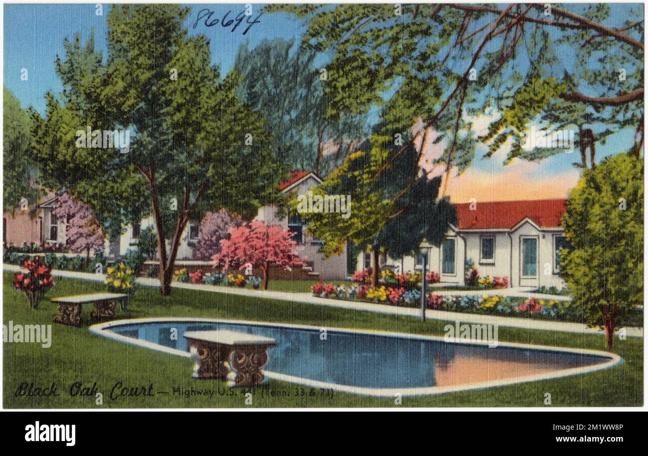 Black Oak court -- Highway US 441 (Tenn. 33 & 71) , Motels, Tichnor Brothers Collection, cartes postales des États-Unis Banque D'Images