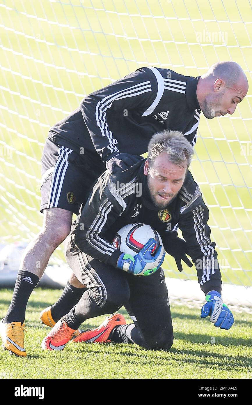 20141113 - BRUXELLES, BELGIQUE : Laurent Ciman en Belgique et le gardien de but de Belgique Jean-François Gillet photographiés lors d'une session de formation de l'équipe nationale belge de football Red Devils, jeudi 13 novembre 2014. La Belgique jouera dimanche son troisième match de la qualification Euro 2016 contre le pays de Galles. BELGA PHOTO BRUNO FAHY Banque D'Images