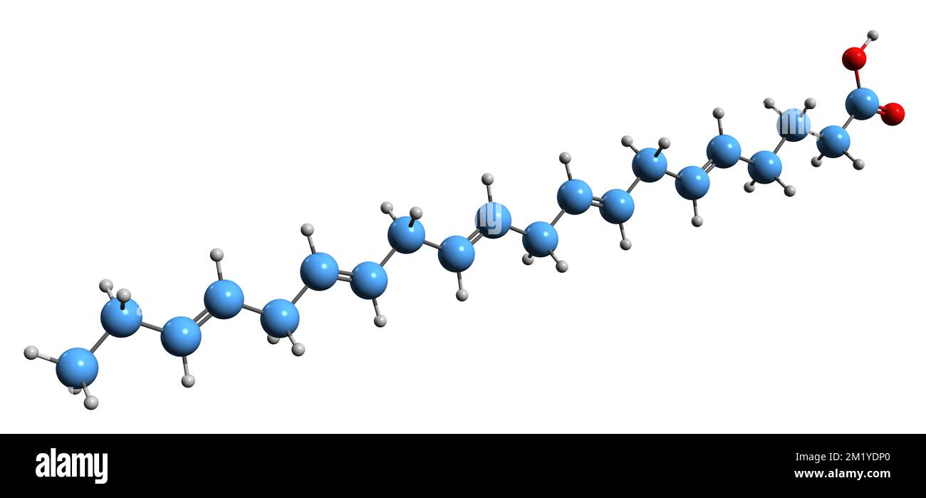 3D image de la formule squelettique de l'acide eicosapentaénoïque - structure chimique moléculaire de l'acide timodonique oméga-3 acide gras isolé sur fond blanc Banque D'Images