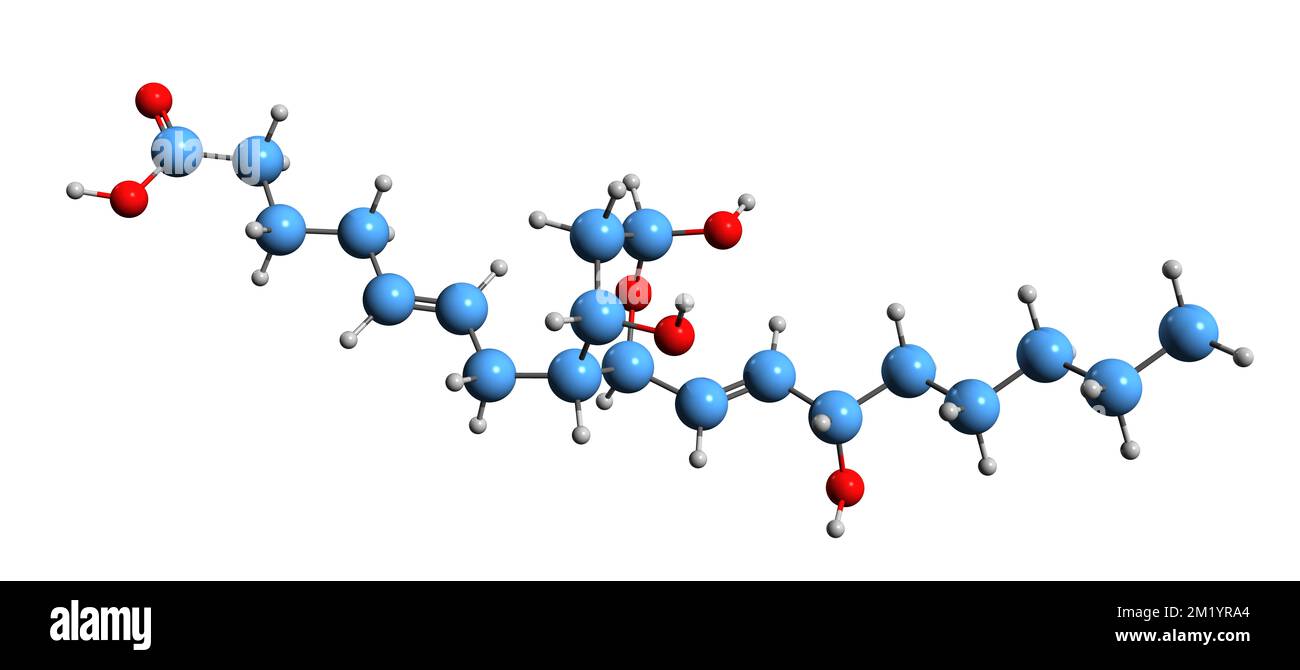 3D image du thromboxane B2 formule squelettique - structure chimique moléculaire de l'eicosanoïde isolée sur fond blanc Banque D'Images