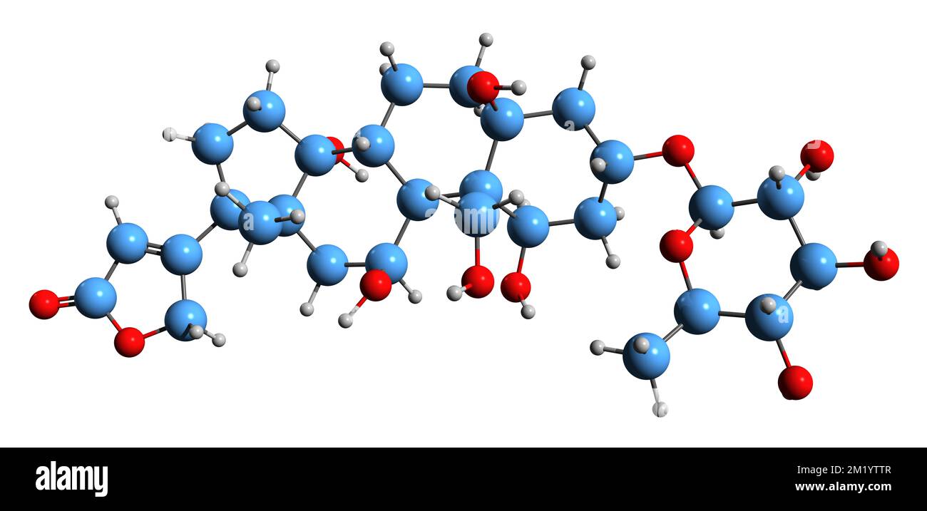 3D image de la formule squelettique de l'ouabaïne - structure chimique moléculaire du poison de flèche isolé sur fond blanc Banque D'Images