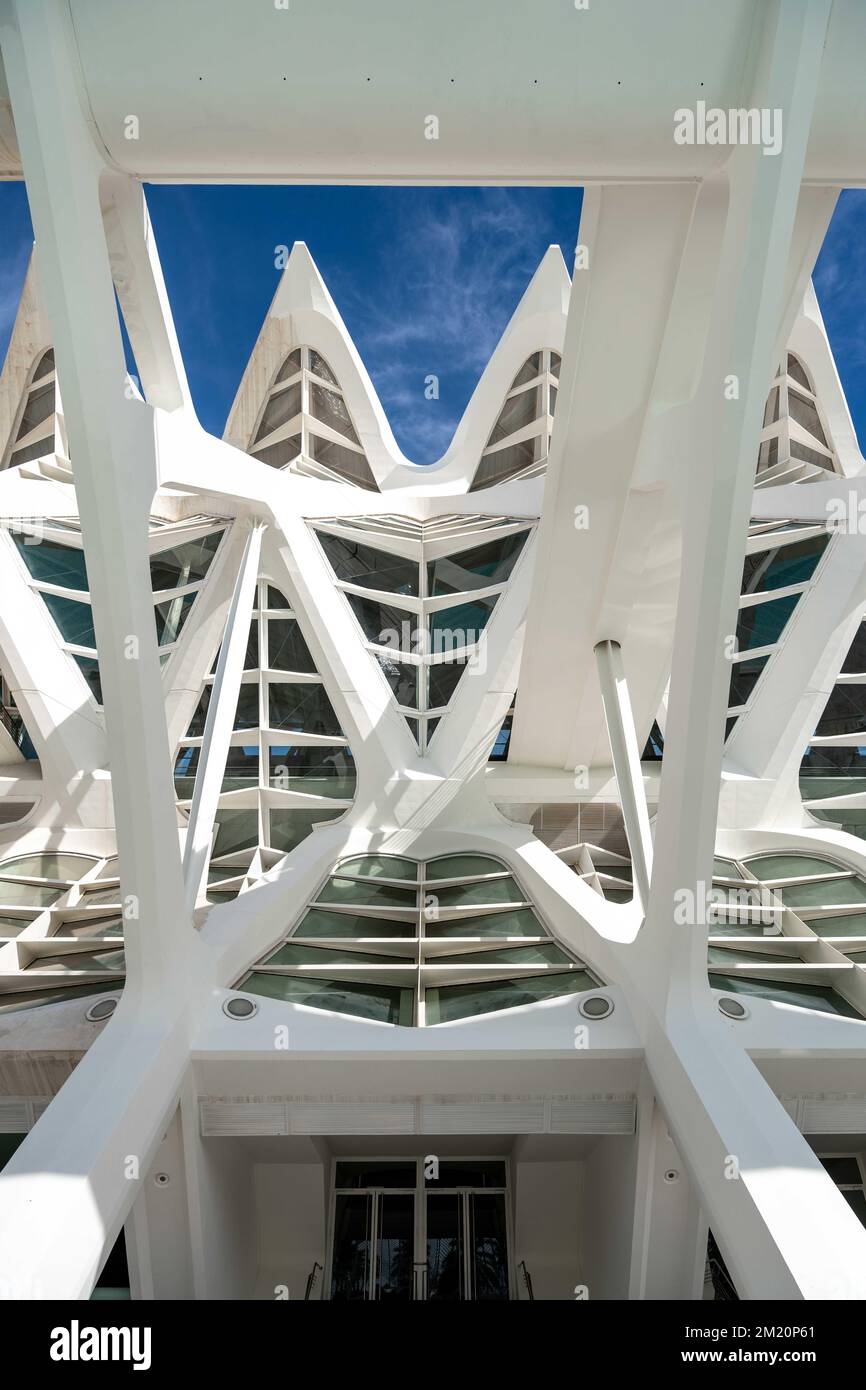 Symétrie dans la Cité des Arts et des Sciences, Valence Banque D'Images