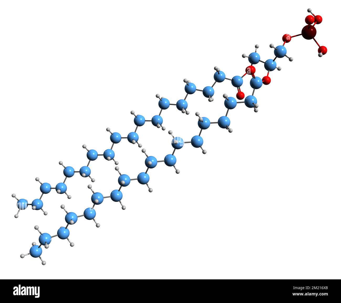 3D image de la formule squelettique de l'acide phosphatidique - structure chimique moléculaire des phospholipides anioniques isolés sur fond blanc Banque D'Images