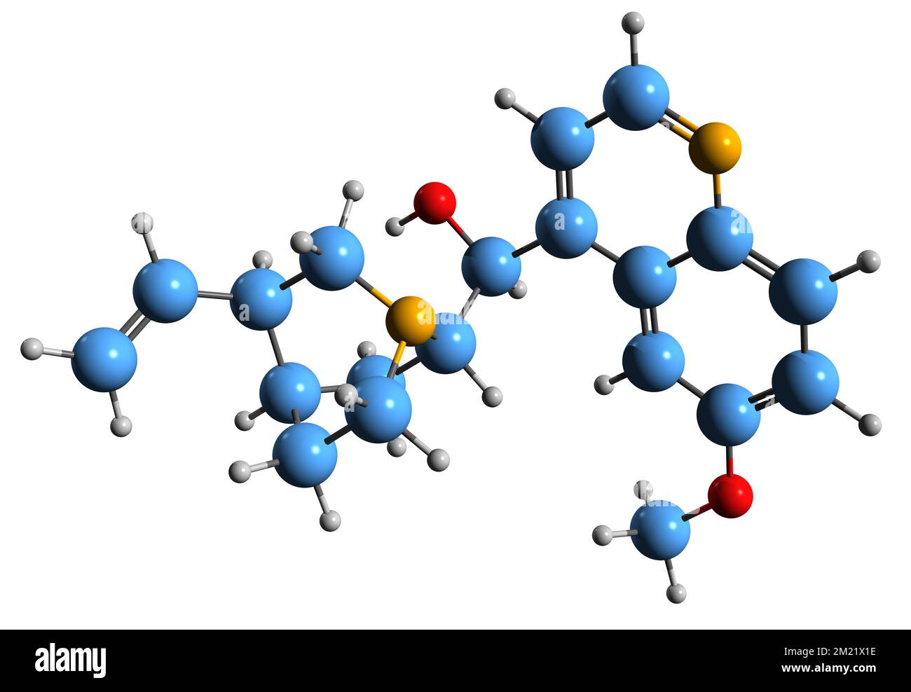 3D image de la formule squelettique de la quinidine - structure chimique moléculaire de l'agent antiarythmique de classe IA isolé sur fond blanc Banque D'Images