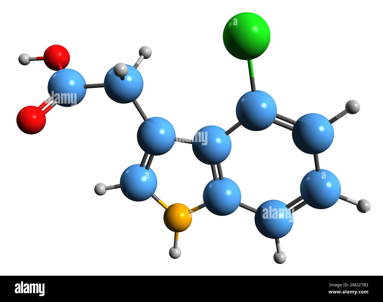 3D image de la formule squelettique de l'acide chloroindoleacétique - structure chimique moléculaire de l'hormone végétale 4-Cl-IAA isolée sur fond blanc Banque D'Images