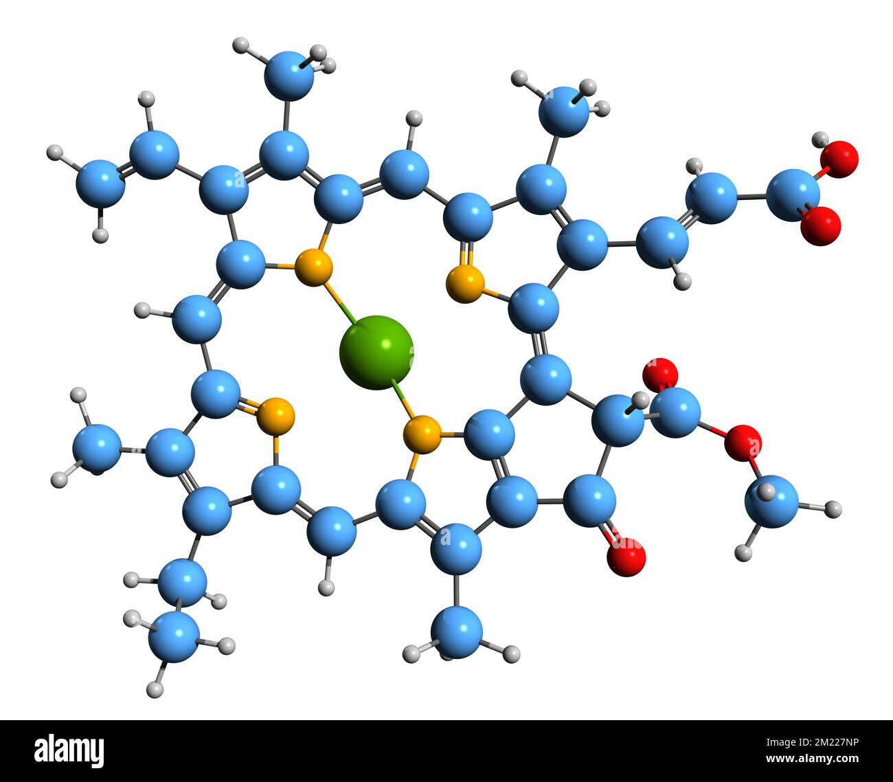 3D image de la formule squelettique de la chlorophylle C1 - structure chimique moléculaire du pigment photosynthétique isolé sur fond blanc Banque D'Images