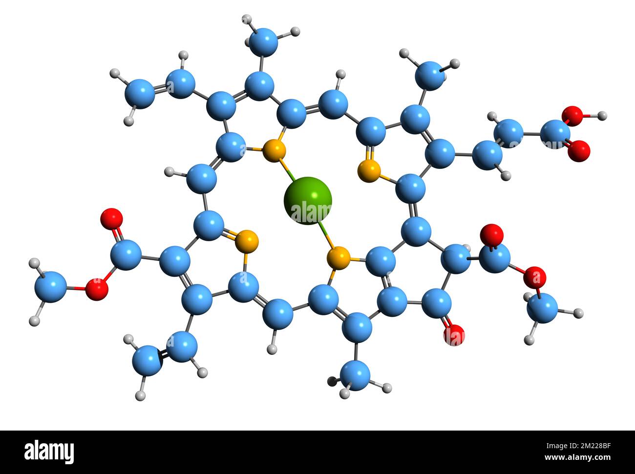 3D image de la formule squelettique de la chlorophylle C3 - structure chimique moléculaire du pigment photosynthétique isolé sur fond blanc Banque D'Images