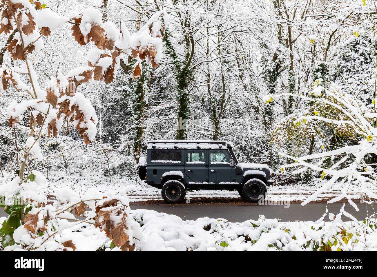 Un Land Rover Defender d'origine noire est stationné sous des arbres enneigés. Des arbres et des feuilles entourent ce magnifique moteur d'entraînement noir à quatre roues Banque D'Images