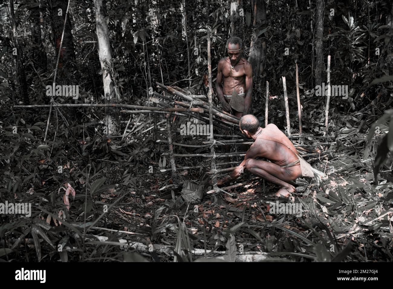 La fabrication de pièges à porcs pour les Korowai est une tradition qui a été transmise de génération en génération. Encore une fois, les matières premières pour cette occ Banque D'Images