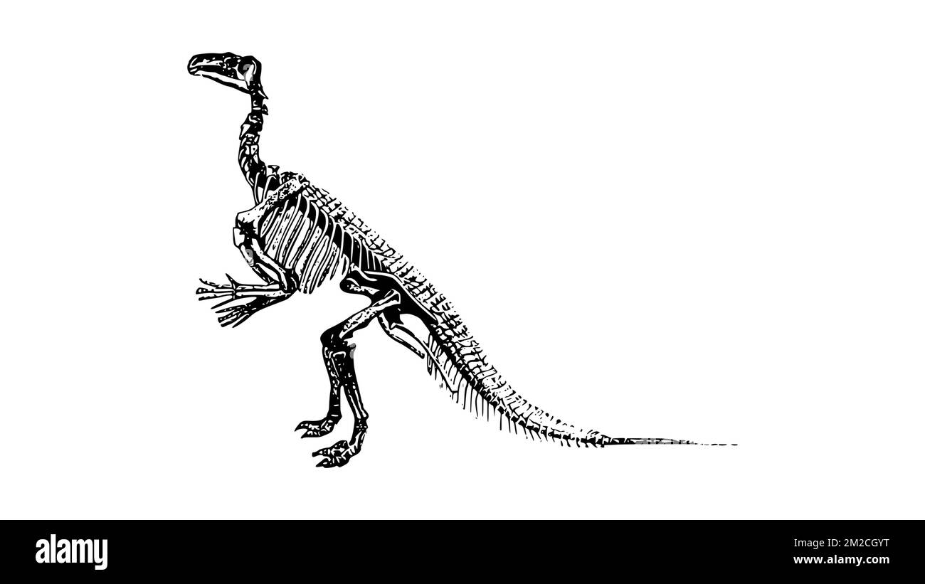 Illustration d'un dinosaure mignon. Animal jurassique Banque D'Images