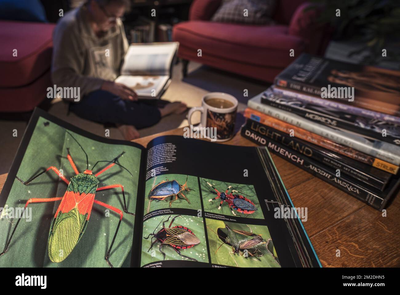 Livre de table à café non-fiction sur la faune et la flore photo montrant des animaux dans le salon à la maison | beau-livre de nature sur table de salon 06/03/2018 Banque D'Images