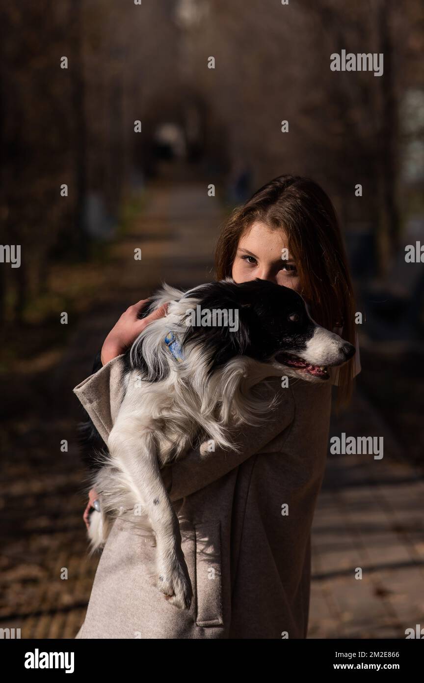 Femme caucasienne tenant une frontière collie dans ses bras tout en marchant dans le parc d'automne. Portrait d'une fille avec un chien. Banque D'Images Femme caucasienne tenant une frontière collie dans ses bras tout en marchant dans le parc d'automne. Portrait d'une fille avec un chien. Banque D'Images