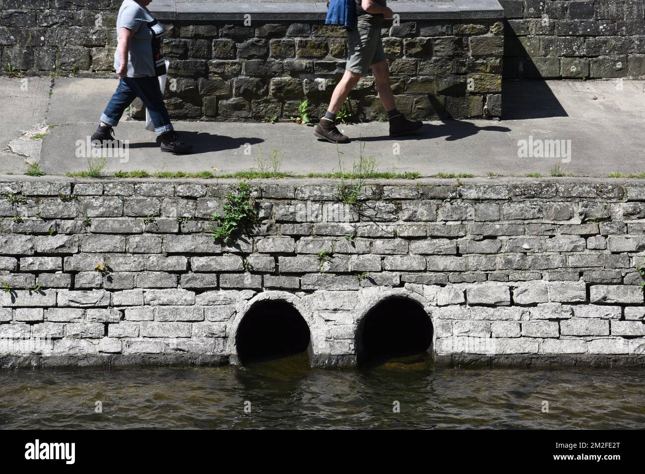 Environnement | Environnement 16/05/2018 Banque D'Images