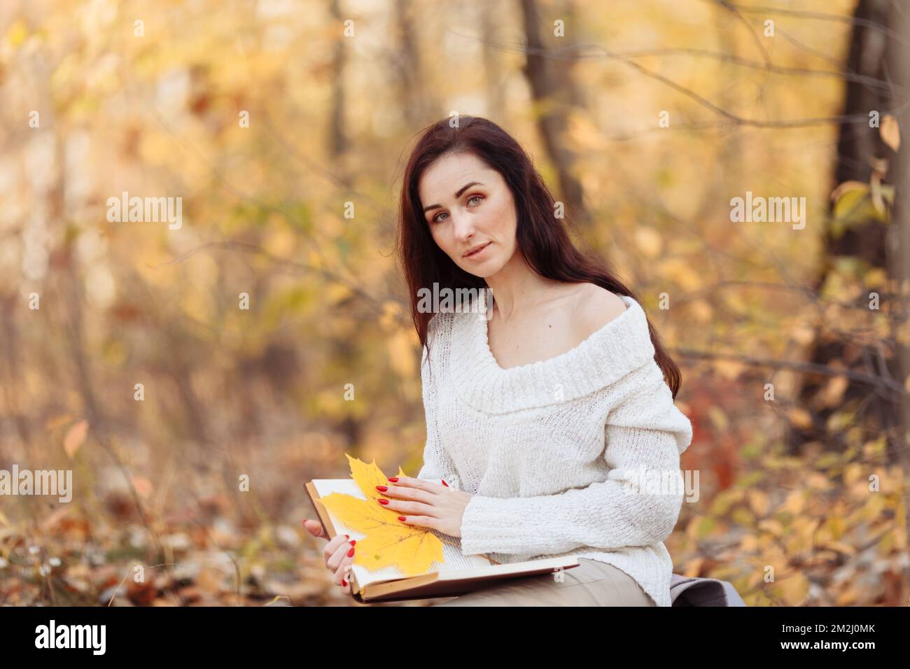 Vue latérale de la femme brune heureuse en lunettes de vue assise sur le banc et livre de lecture dans le parc. Photo de haute qualité Banque D'Images