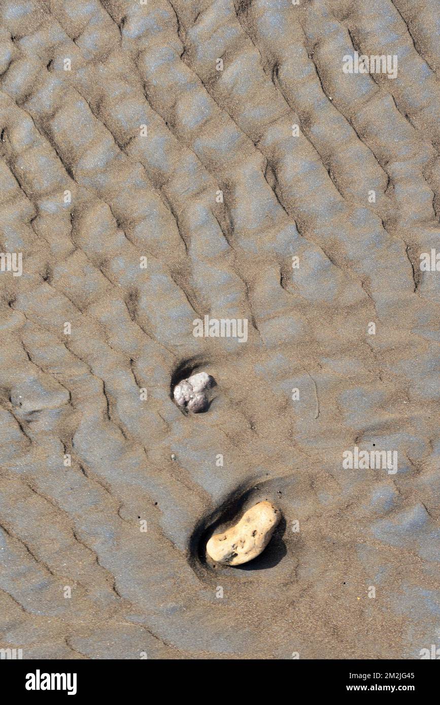 Pierre de roche sur le sable de la plage, Surwada Beach, Valsad, Gujarat, Inde Banque D'Images