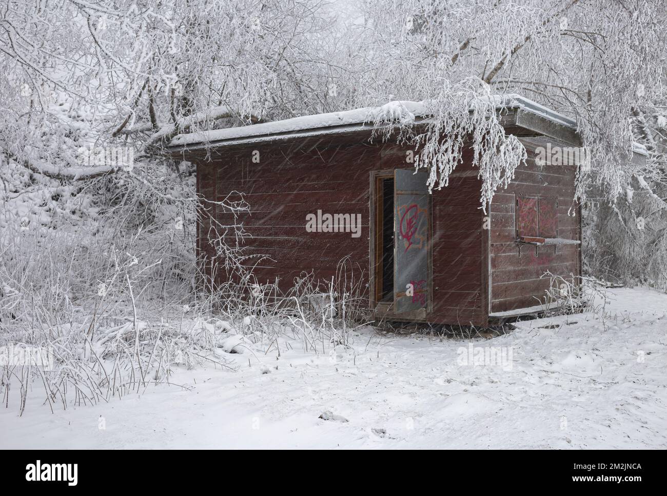 Cottage abandonné dans un paysage d'hiver Banque D'Images