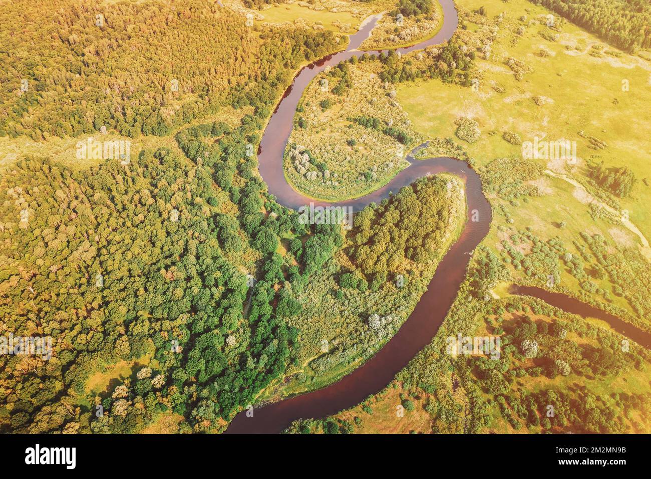 Vue de dessus de la belle nature européenne de haute attitude. Vue de vol de drone. Vue plongeante sur les bois de la forêt verte en une journée ensoleillée. Vue aérienne de l'été Banque D'Images