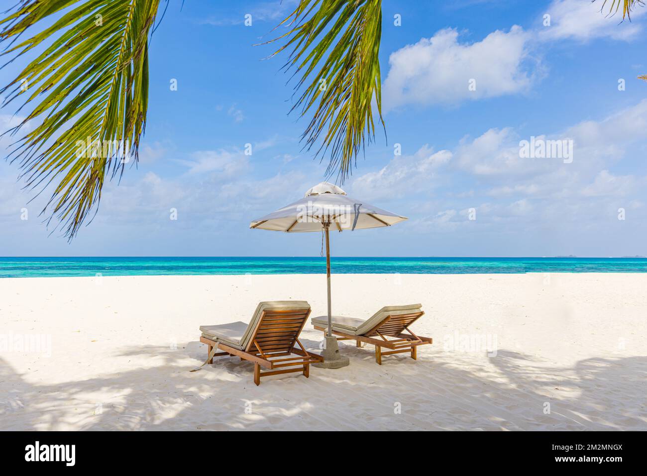 Une plage fantastique avec deux chaises longues sous un parasol et des  feuilles de palmier. Tropical nature paradisiaque île rivage côte mer vue  horizon calme ciel Photo Stock - Alamy