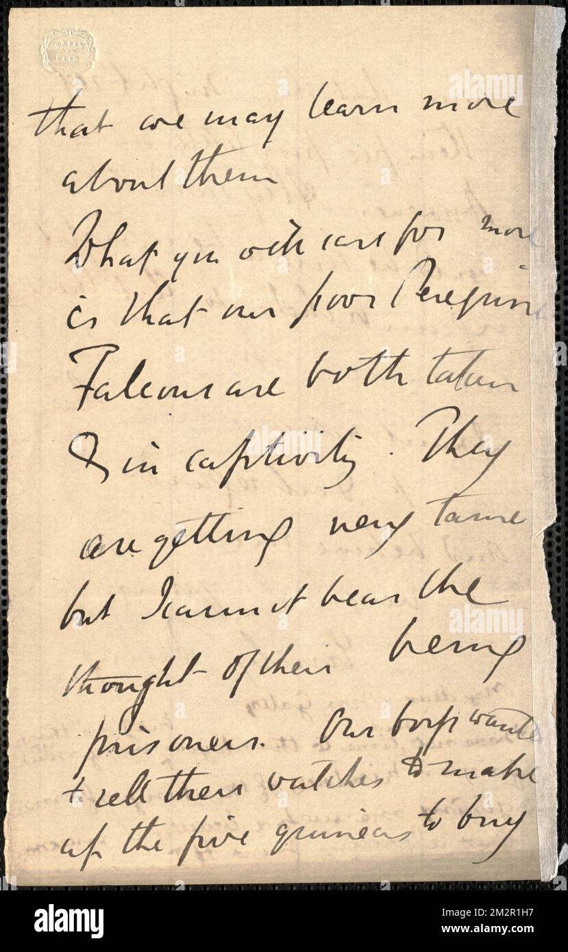 Emily Tennyson lettre autographe signée (incomplète) à Mme Gatty , épouses des auteurs, Grande-Bretagne, correspondance, familles, Grande-Bretagne, vie sociale et coutumes, 19th siècle, Poets, Anglais, 19th siècle, Relations familiales, Tennyson, Hallam Tennyson, Baron, 1852-1928, Tennyson, Lionel, 1854-1886, Tennyson, Alfred Tennyson, Baron, 1809-1892 Banque D'Images