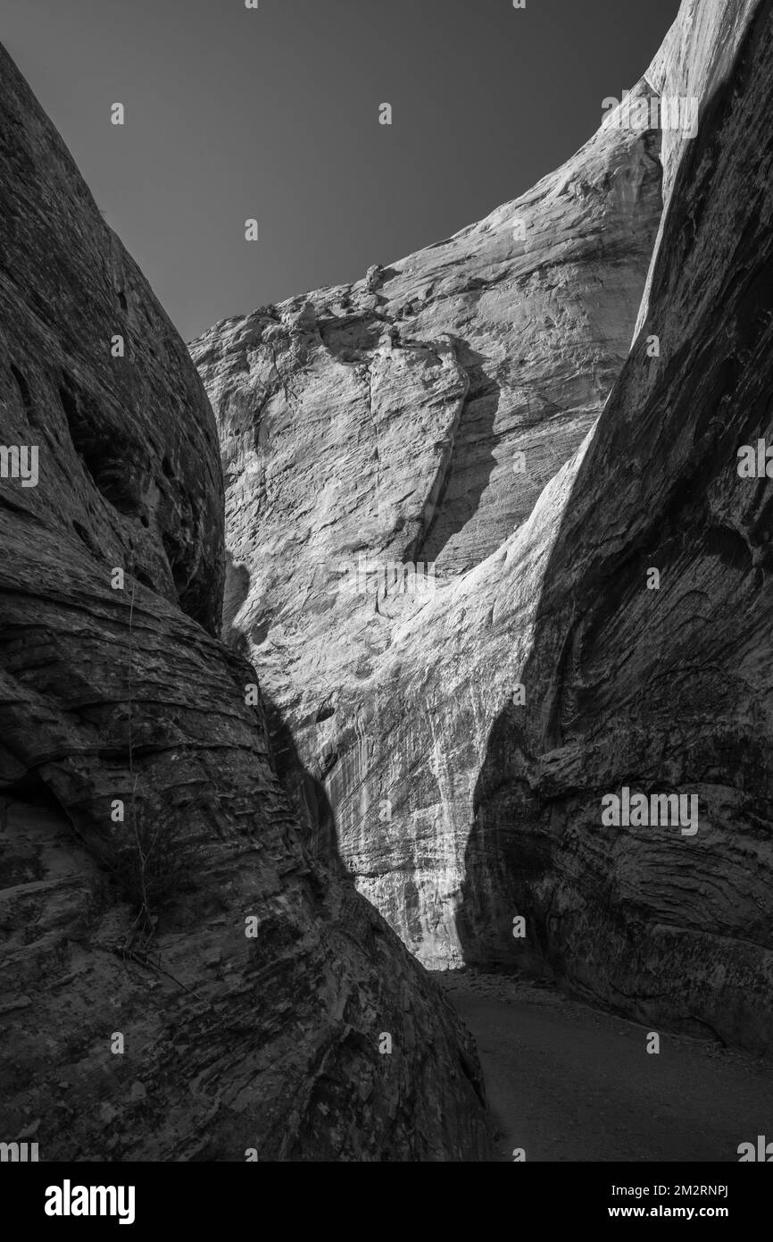 Le mur arrière brille de lumière du matin dans le parc national de Capitol Reef Banque D'Images