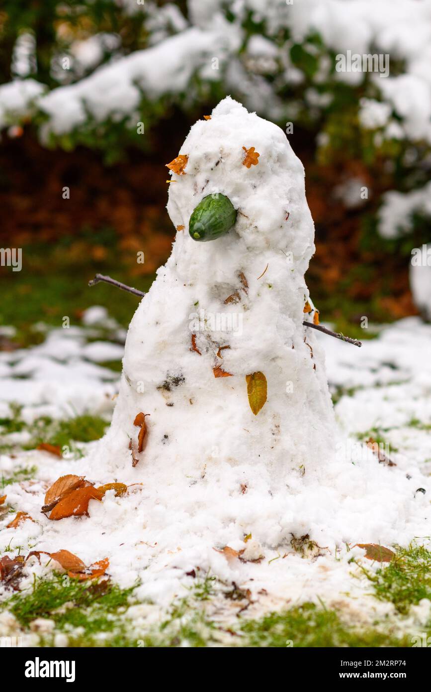 Bonhomme de neige avec un concombre pour un nez, drôle Banque D'Images