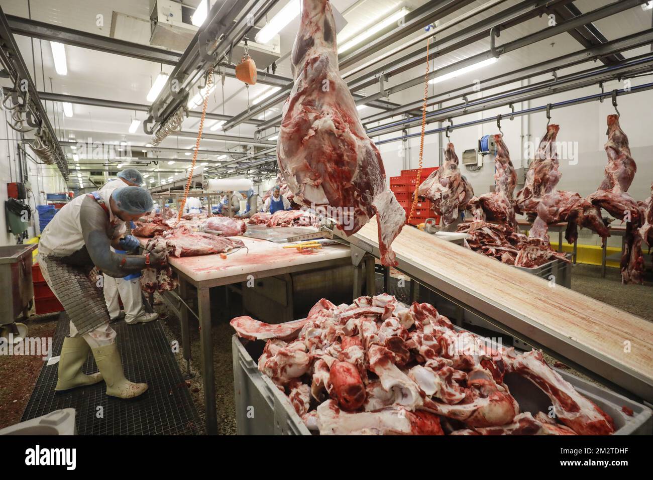 L'illustration montre la production de viande de boeuf au siège des producteurs de viande de Viande de Liège, à Liège, le lundi 29 avril 2019. La semaine dernière, la chaîne de supermarchés Colruyt a rappelé plusieurs viandes hachées de Viande de Liège, après la détection des bactéries E-coli dangereuses. La société affirme que la contamination s'est produite à la maison d'abattage. BELGA PHOTO THIERRY ROGE Banque D'Images