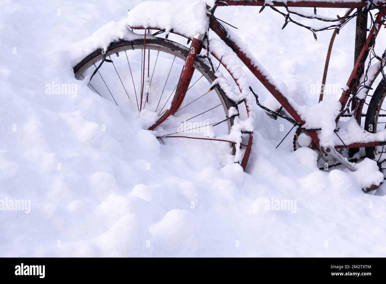 Faites du vélo dans la neige dans la rue. Le vélo est décoré pour le nouvel an. Photo de haute qualité Banque D'Images