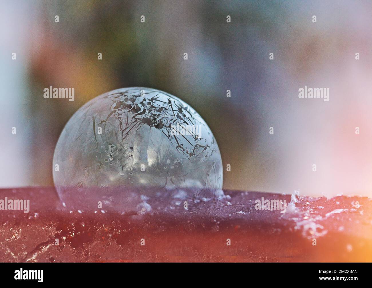 Bulle de savon surgelé, fond coloré, motif hiver Banque D'Images
