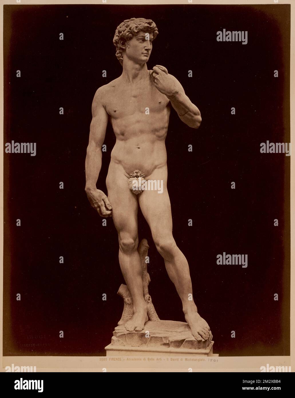Florence - Accademia di Belle Arti - il David di Michelangiolo , Sculpture, Michel-Ange Buonarroti, 1475-1564. David. Collection Nicholas Catsimpolas Banque D'Images
