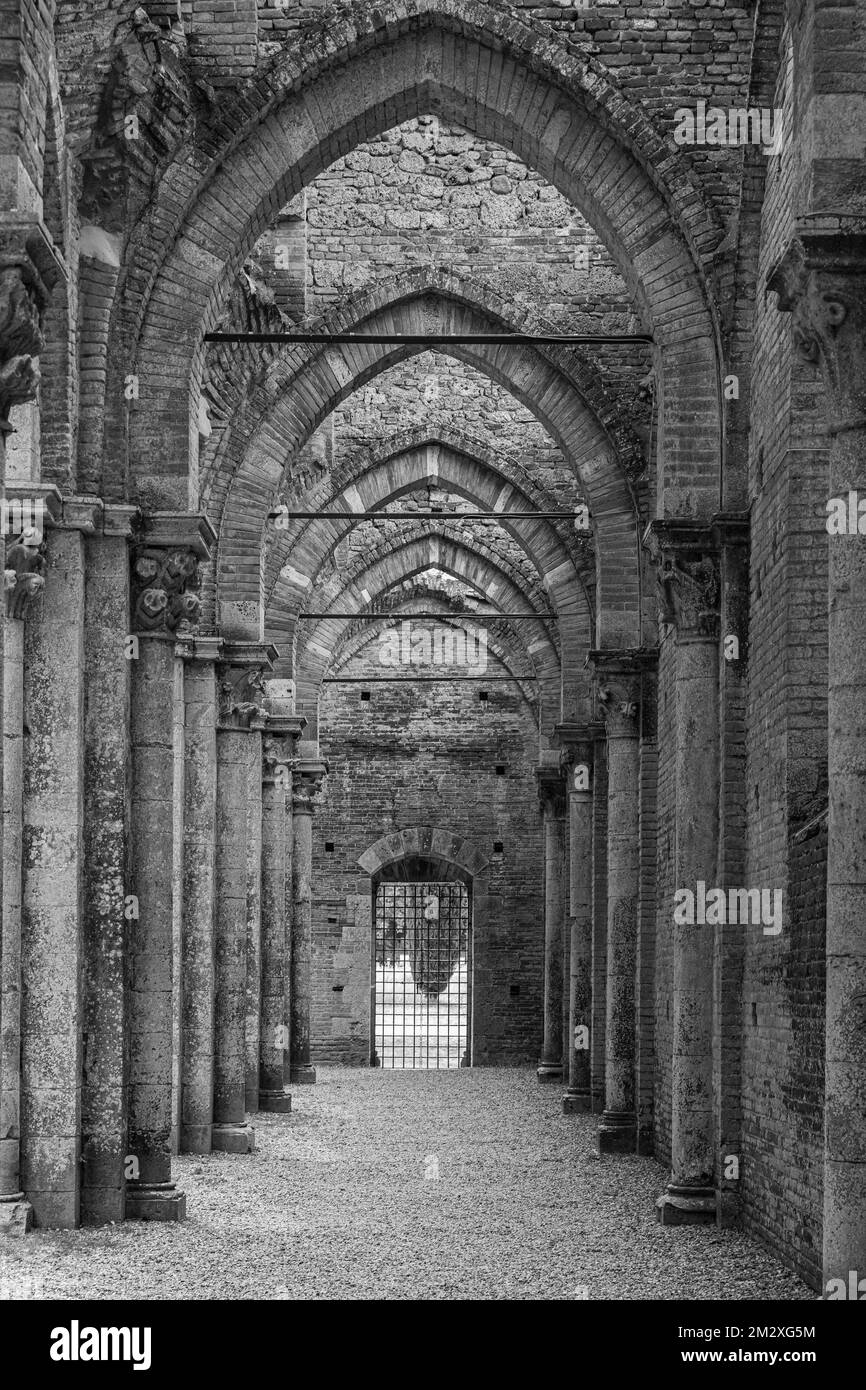 Allée latérale de l'église en ruines de l'abbaye de San Galgano, photo en noir et blanc, près de Monticiano, Toscane, Italie Banque D'Images