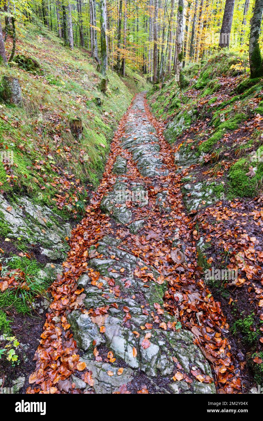 Route celtique, route romaine, Rottweg, route historique près de Klais, Werdenfelser Land, haute-Bavière, Bavière, Allemagne Banque D'Images