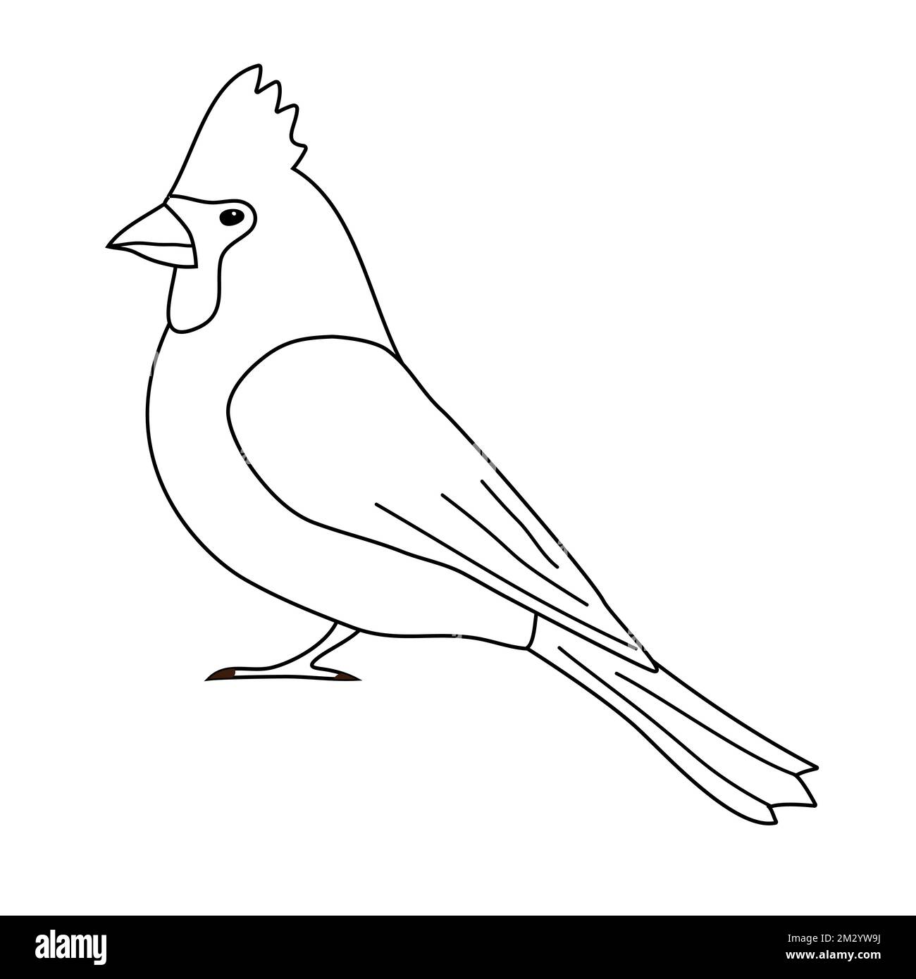 Vecteur plat tracé à la main contour rouge oiseau cardinal Illustration de Vecteur