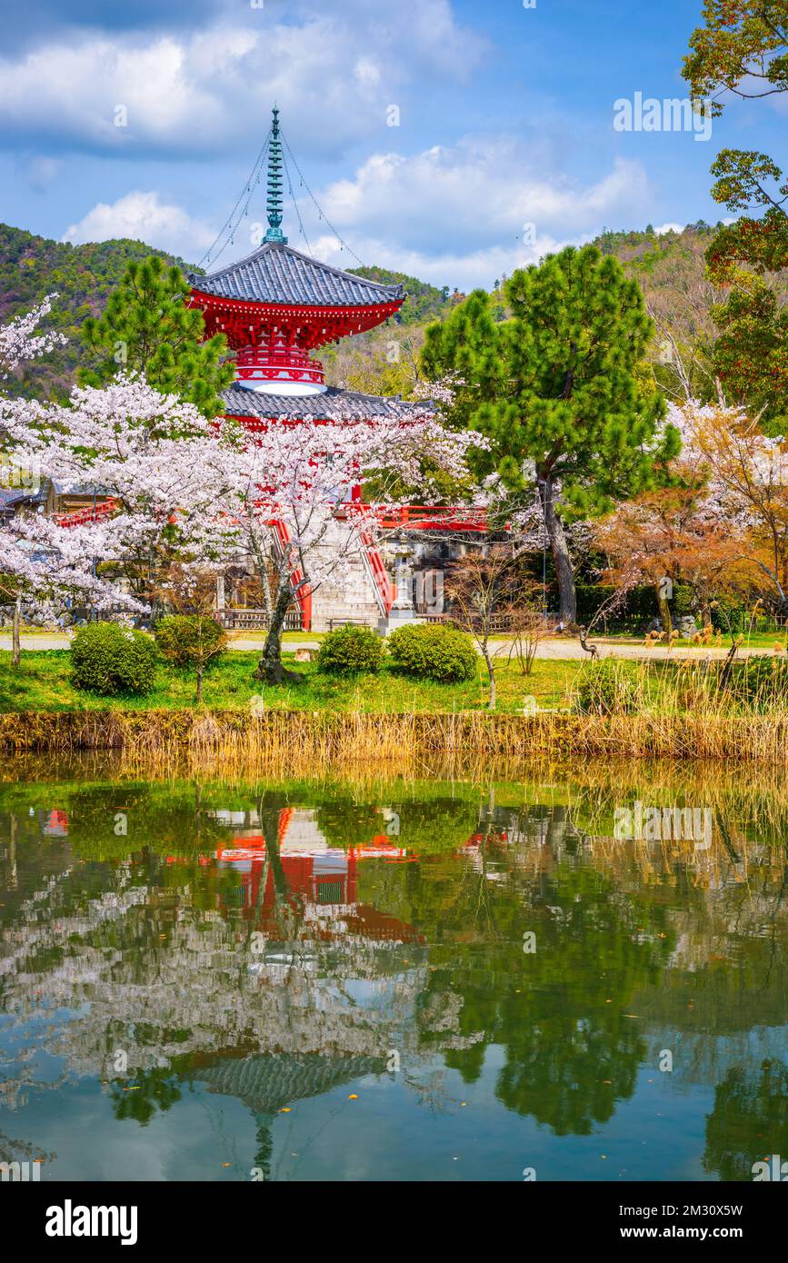 Kyoto, Japon au temple Daikaku-ji au printemps. Banque D'Images