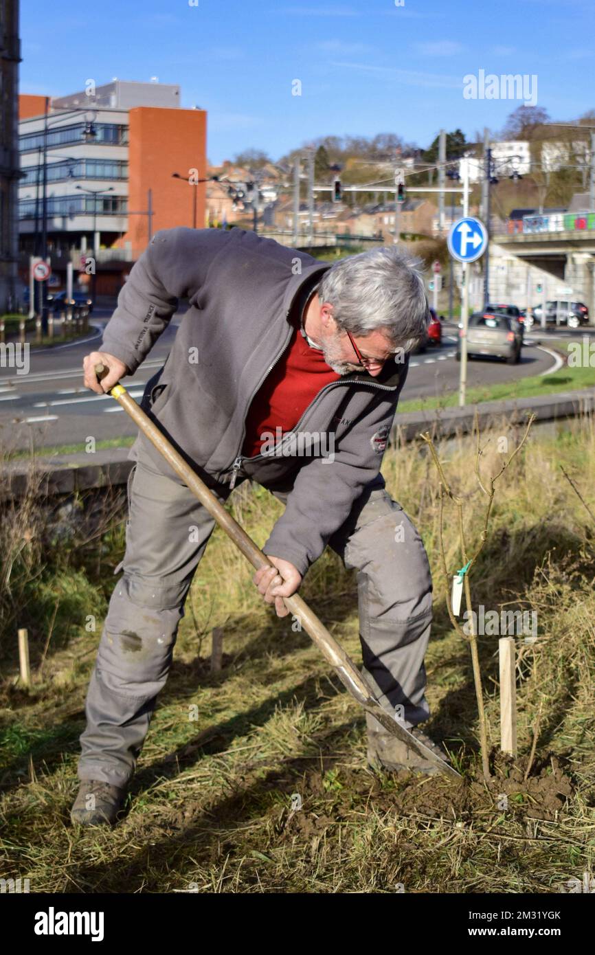 Marcel Guillaume sur la photo concernant l'article de Belga 'Quelque 280 arbres et aroustes plantes sans autorisation par des citoyens a Namur', 15/12/2019 18:46, dans NAMUR. MEILLEURE QUALITÉ DISPONIBLE - BELGA PHOTO MAXIME ASSELBERGHS Banque D'Images