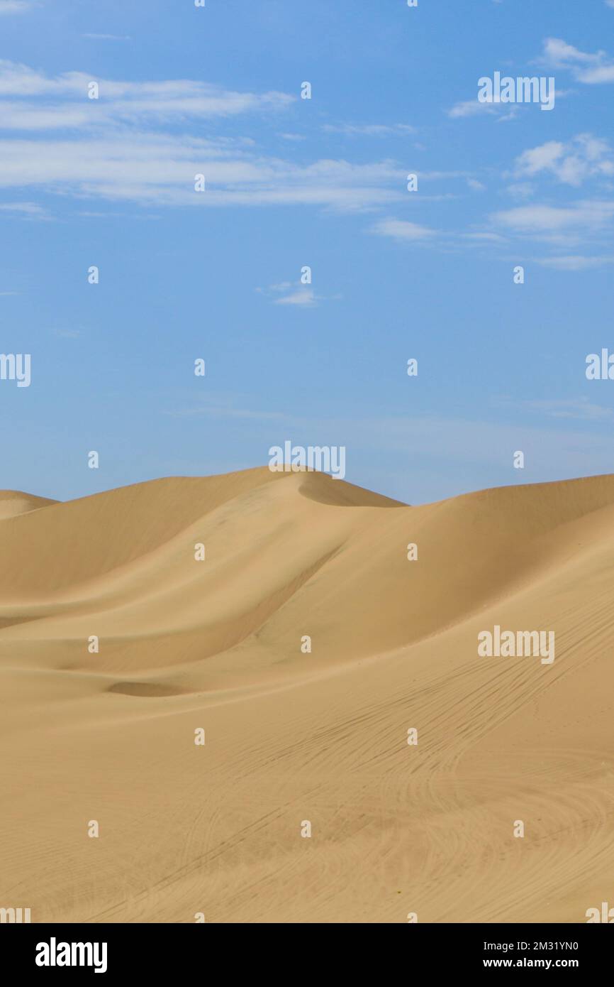 Une photo verticale des dunes dans un désert sous un ciel bleu Banque D'Images