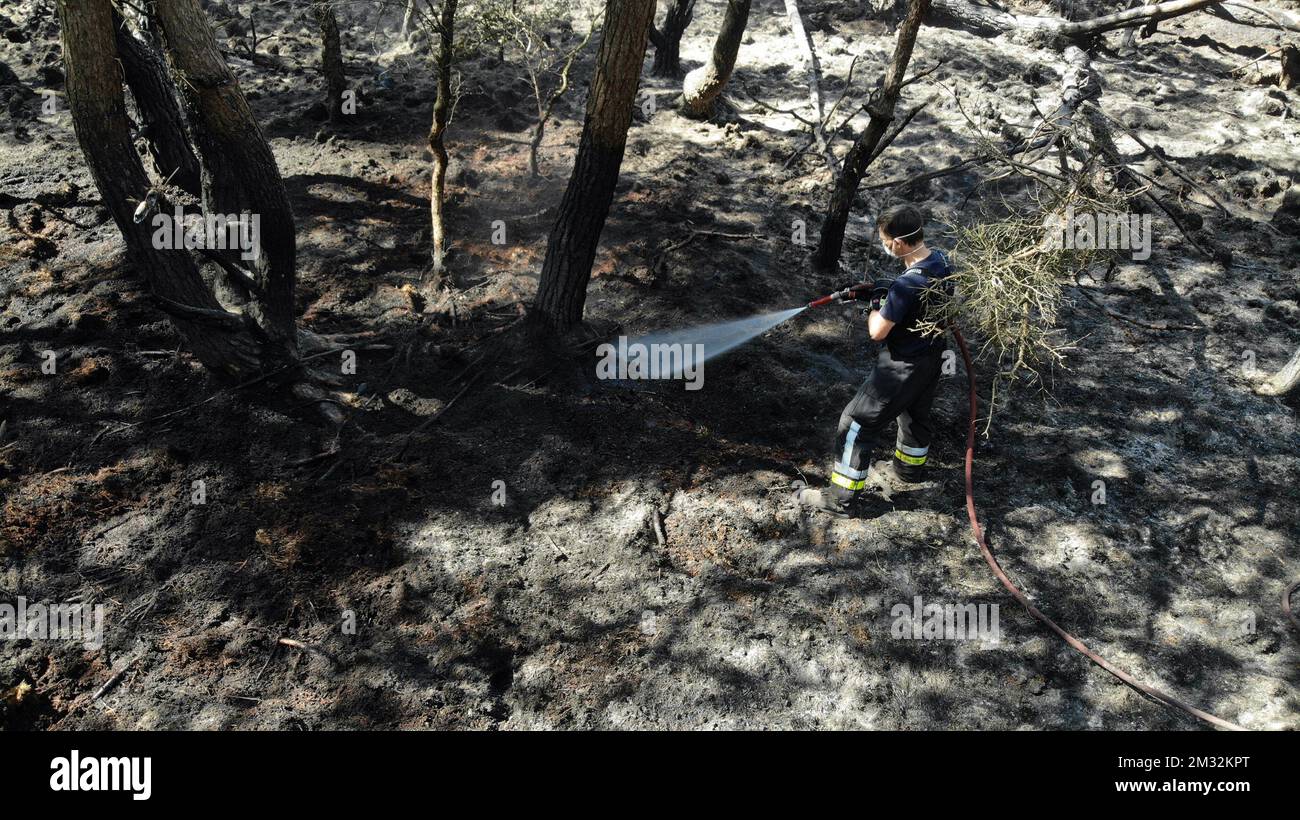 L'illustration montre une vue aérienne des dommages après un incendie important dans le domaine de la réserve naturelle 'de Liereman' à Oud-Turnhout, province d'Anvers, jeudi 23 avril 2020. 167 hectares brûlés. Le domaine a été fermé depuis lundi en raison du risque extrême d'incendie causé par la sécheresse persistante. BELGA PHOTO ERIC LALMAND Banque D'Images