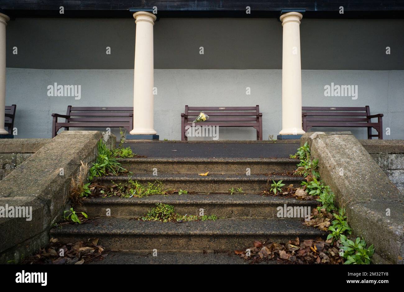 Vue sur les marches avec sièges au niveau supérieur et fleurs sur l'un des bancs Banque D'Images