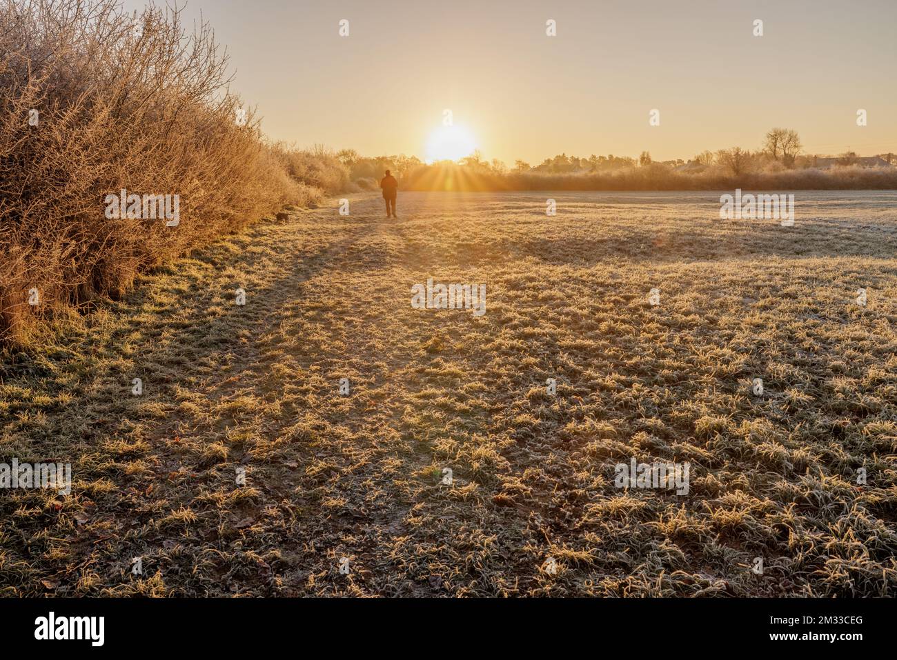 Saughall, Royaume-Uni. 14th décembre 2022. Un marcheur de chien profite de la couverture solaire lors d'un hiver froid et givré le matin à Saughall, Royaume-Uni. Crédit : Simon Hyde/Alay Live News. Banque D'Images