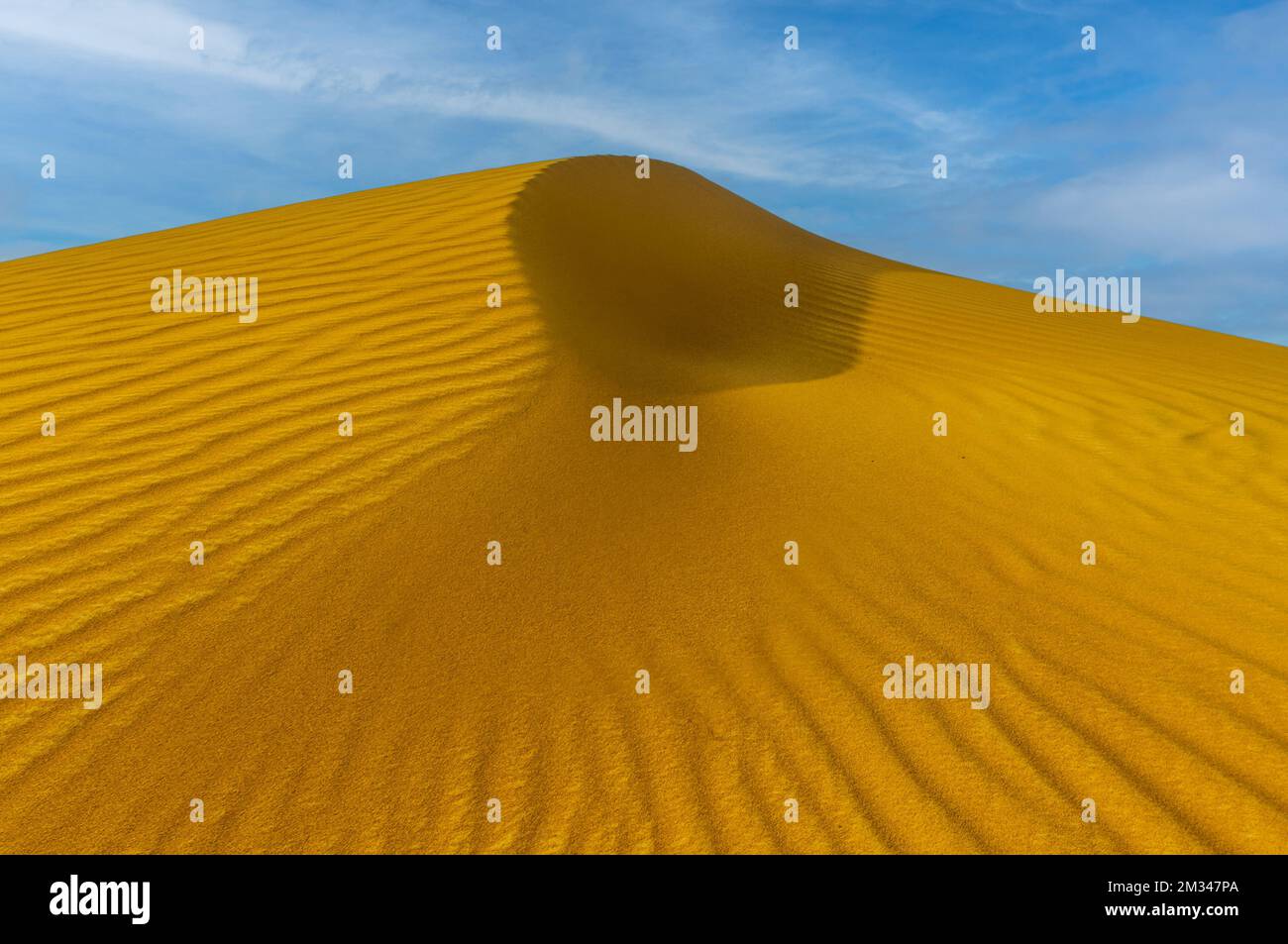 Dunes de sable dans la Hatta, Dubaï Banque D'Images