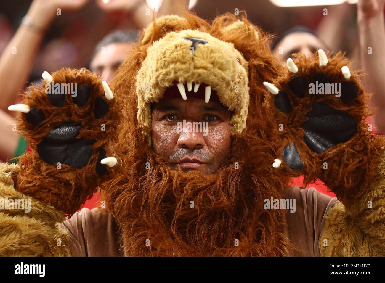 Al Khor, Qatar. 14th décembre 2022. Un fan marocain soutient son équipe lors du match de demi-finale de la coupe du monde de la FIFA 2022 au stade Al Bayt à Al Khor, Qatar sur 14 décembre 2022. Photo de Chris Brunskill/UPI crédit: UPI/Alay Live News Banque D'Images