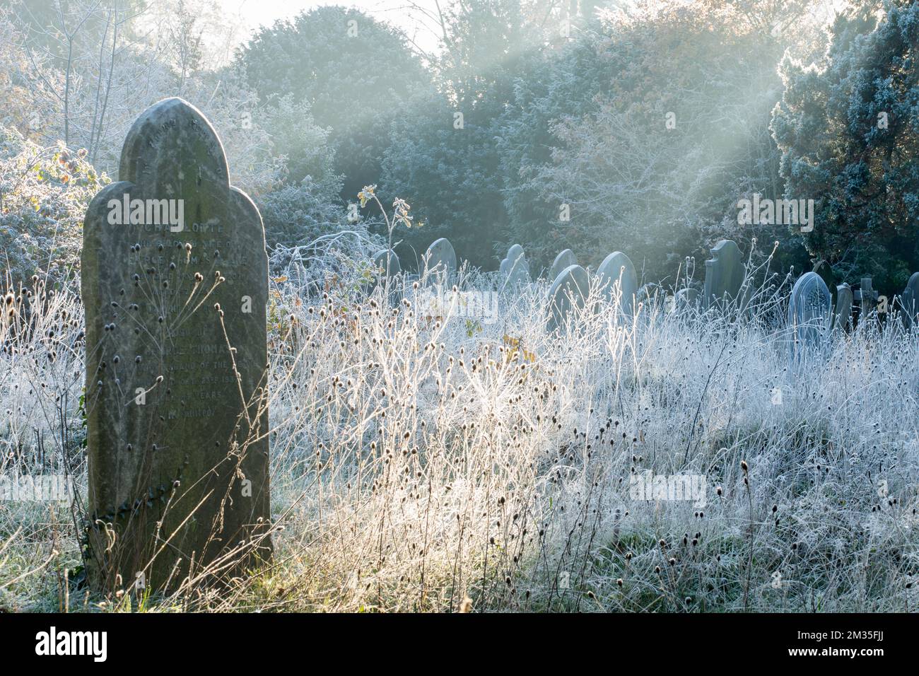 Matin glacial dans le vieux cimetière de Southampton Banque D'Images