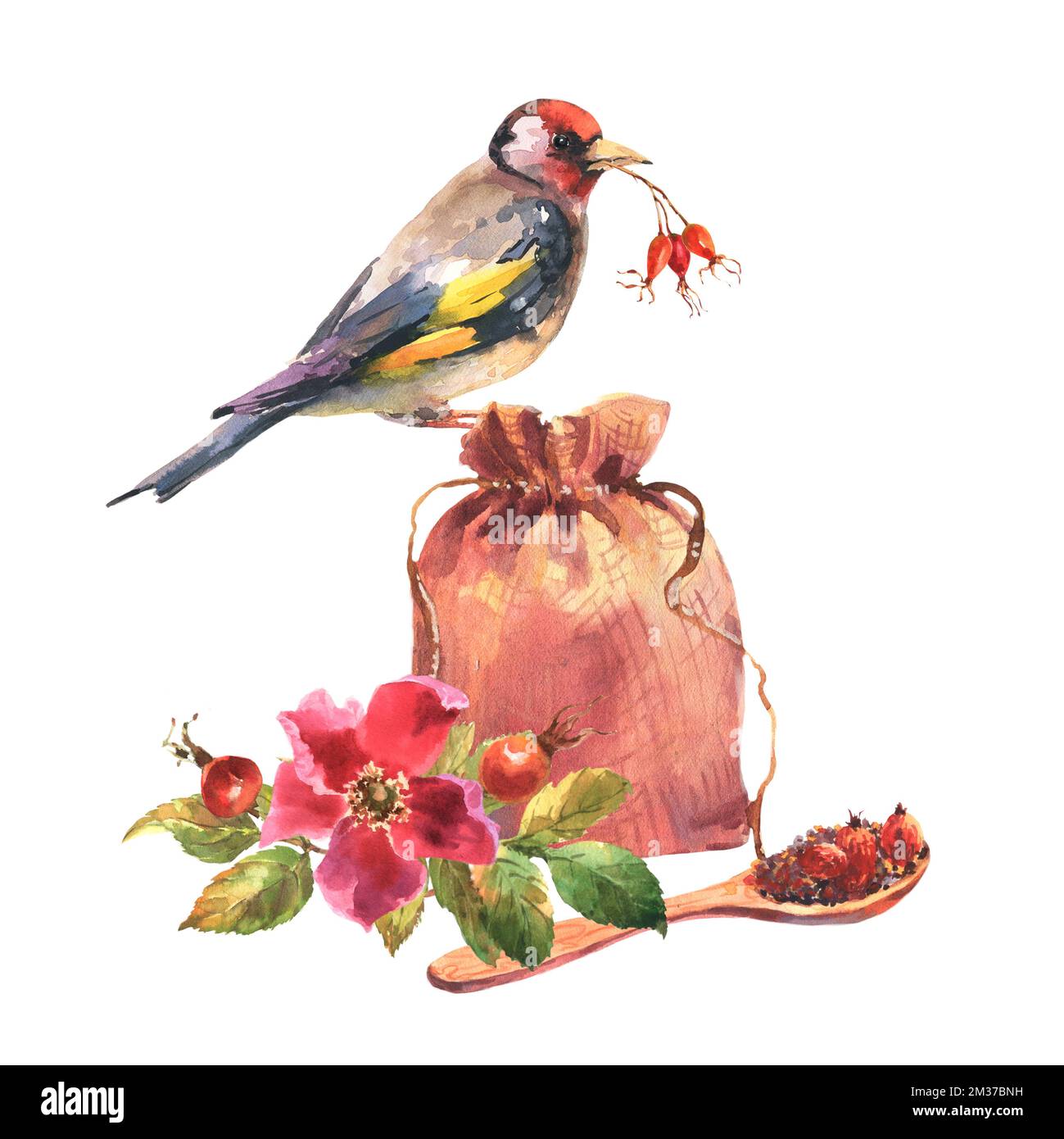 Sac de lin d'illustration d'aquarelle et cuillère en bois avec thé de rosehip, fleurs et baies de brier, et oiseau de fingue d'or, illustration d'aquarelle isolée o Banque D'Images