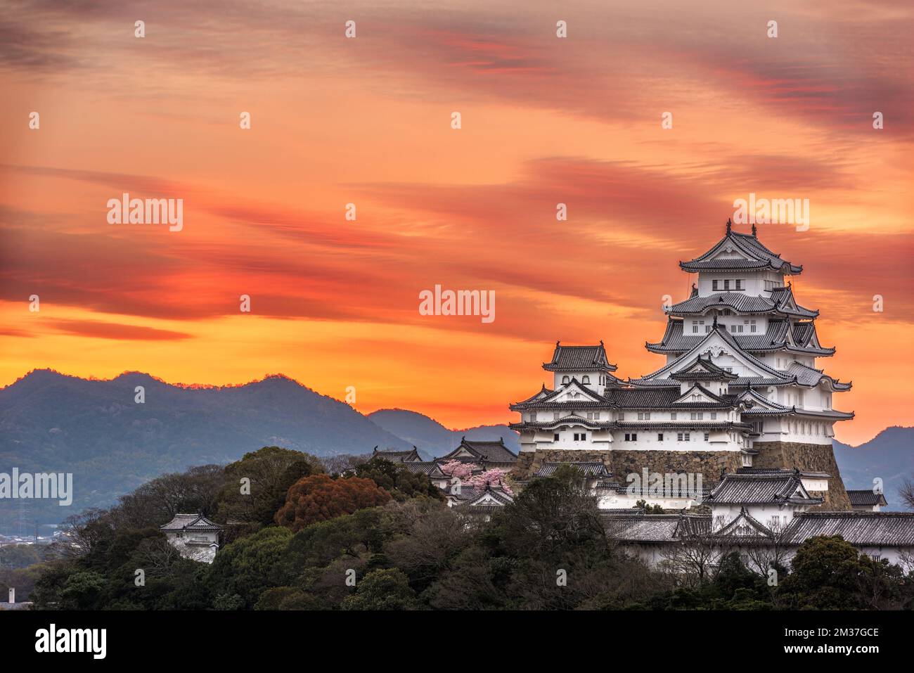 Himeji, Japon aube au château Himeji au printemps. Banque D'Images