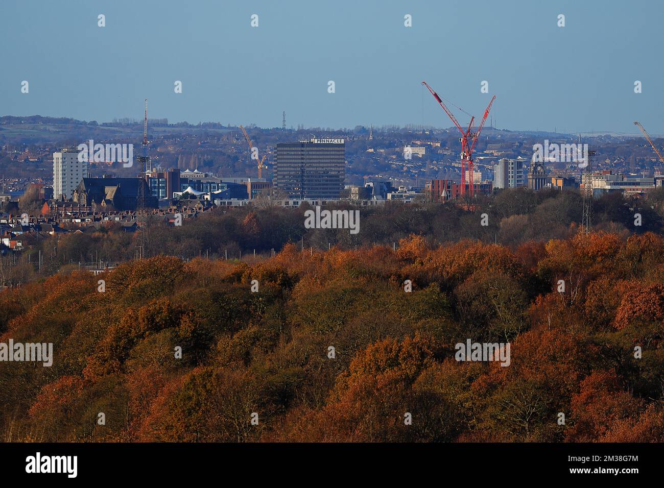 Vue sur Leeds City Skyline le jour de l'automne, prise de Temple Newsam dans West Yorkshire, Royaume-Uni Banque D'Images