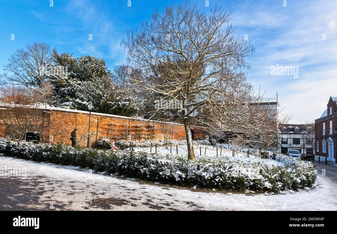 Arbres et jardins enneigés Sumpter Yard, St. Albans Hertfordshire Royaume-Uni Banque D'Images
