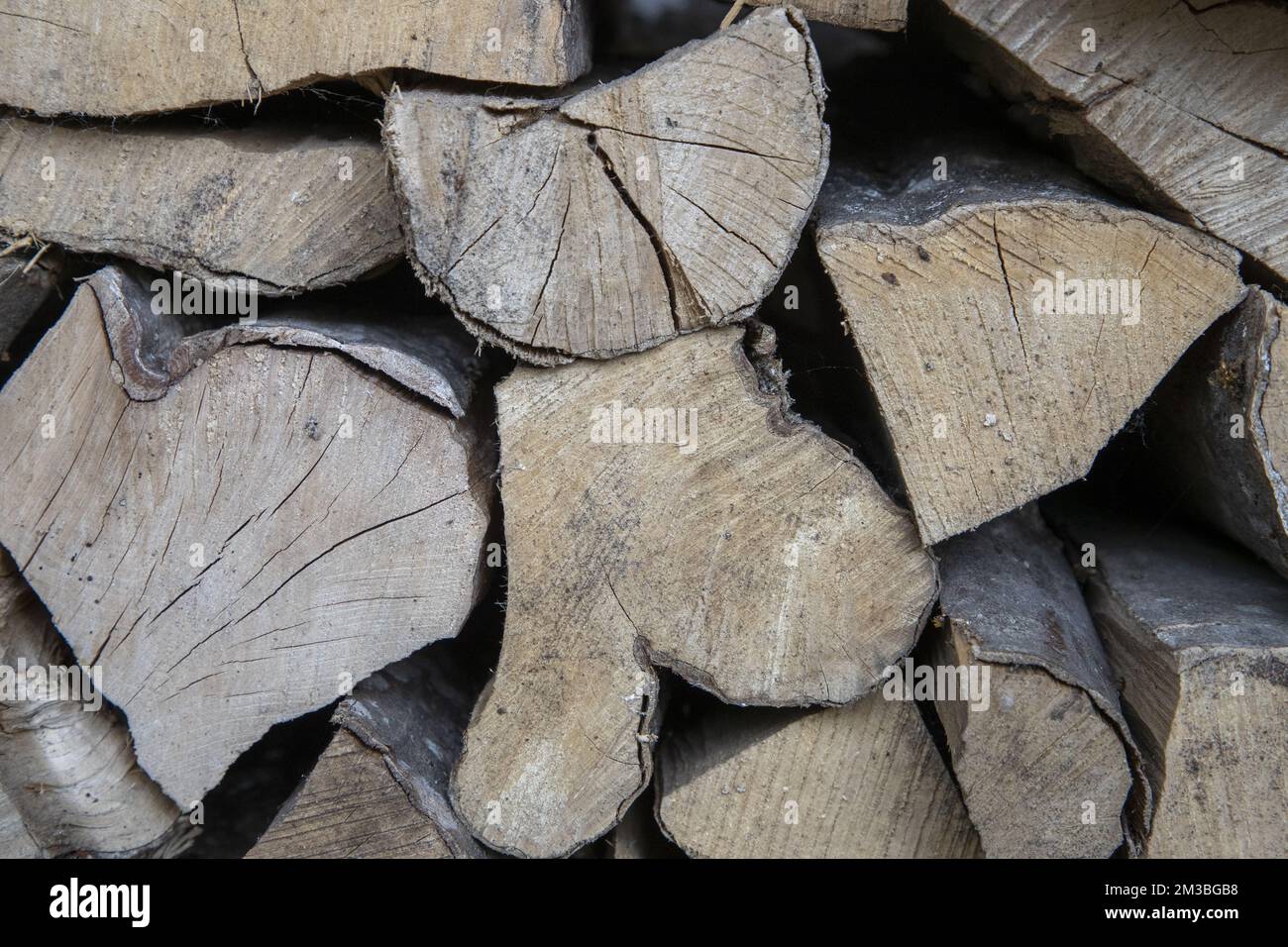 L'illustration montre le bois de chauffage dans la maison d'un particulier  à Lierde, dimanche 31 juillet 2022. Avec la crise énergétique, les prix du bois  de chauffage ont également beaucoup risqué. BELGA