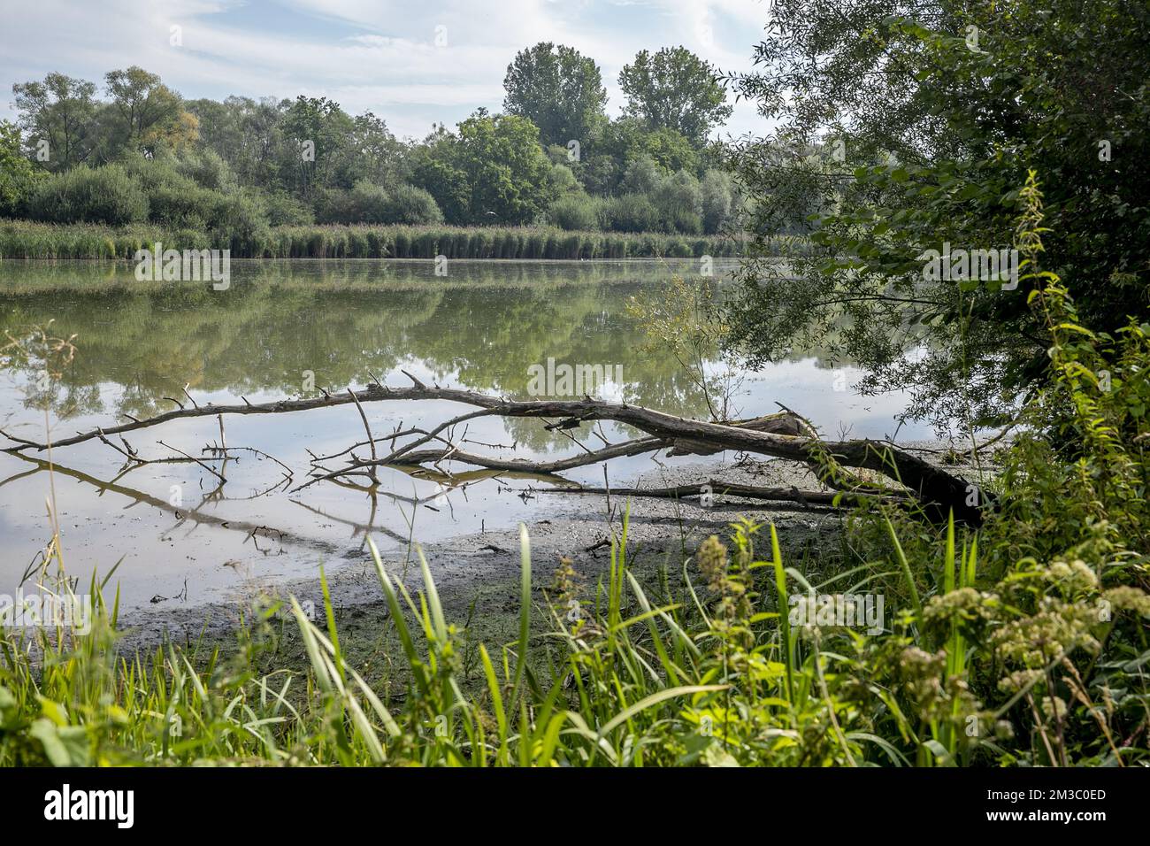 A L'ATTENTION DES ÉDITEURS - COUVERTURE DEMANDÉE À BELGA PAR AB INBEV - USAGE ÉDITORIAL SEULEMENT - l'illustration montre un moment de presse pour présenter un projet de préservation des eaux souterraines à la réserve naturelle de Doode Bemde à Huldenberg, organisé par le groupe de brasserie AB InBev et l'organisation environnementale Natuurpunt le mercredi 24 août 2022. BELGA PHOTO HATIM KAGHAT Banque D'Images